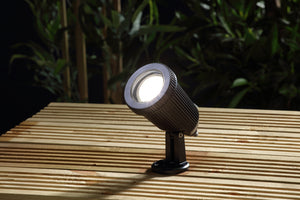 CZ31806BLK Wells Spike Light