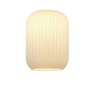 Spacek 12x17cm Tubular Ribbed Glass (AE)  EM7569