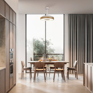 Coin M8217 Ceiling Fan White/Wood