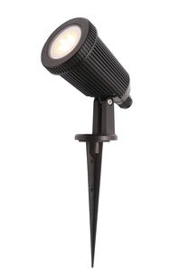 CZ31806BLK Wells Spike Light