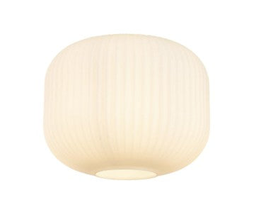 Aniston 25cm Round Ribbed Pumpkin