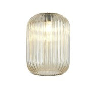 Spacek 12x17cm Tubular Ribbed Glass (AE)  EM7569