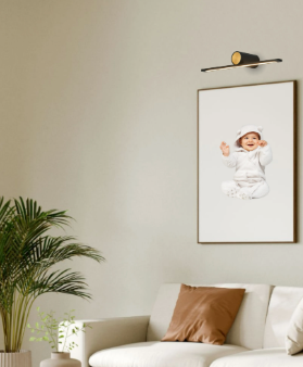Lavigne Wall Light/Picture Light