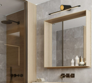 Lavigne Wall Light/Picture Light