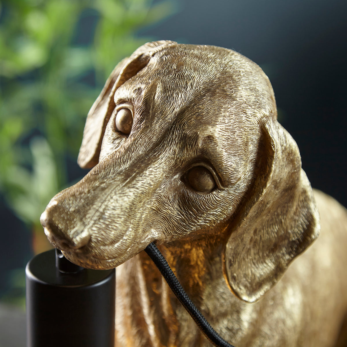 Liszt LIS187219 Table Lamp Gold Dachshund