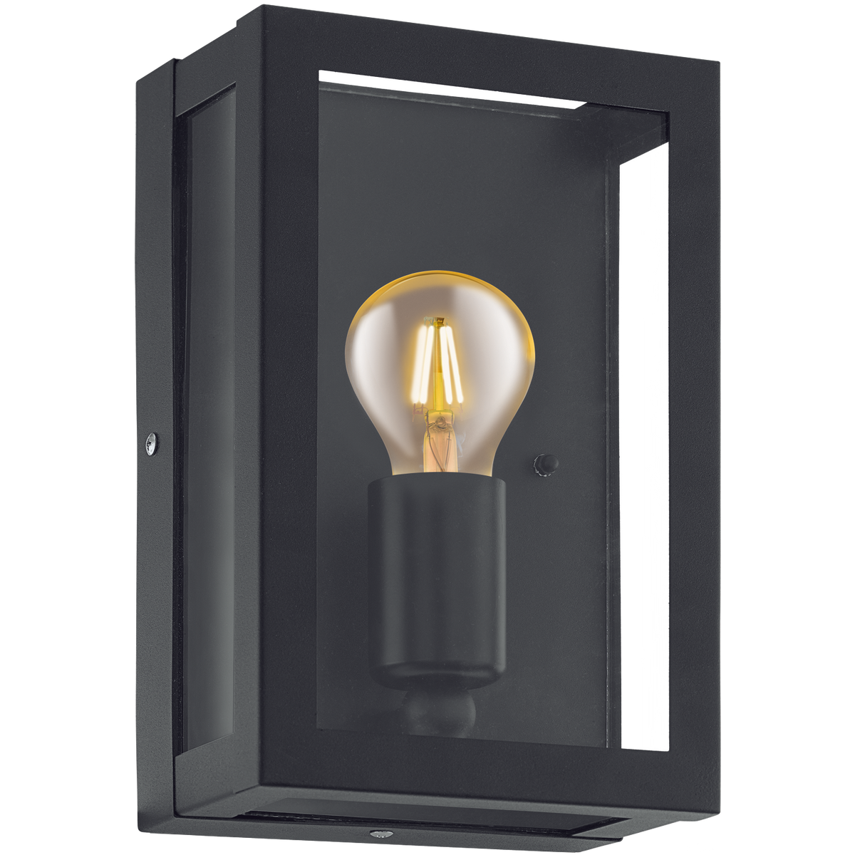 Eglo 94831 Alamonte 1 Wall Light