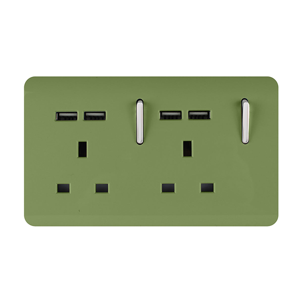 Trendiswitch Artistic Modern 2 Gang 4 Port USB 2100mA Plug Socket