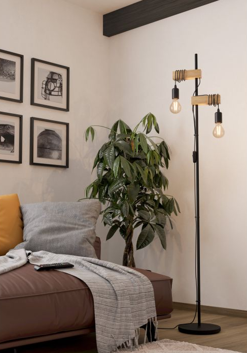 Eglo 32919 Townshend Black Floor Lamp