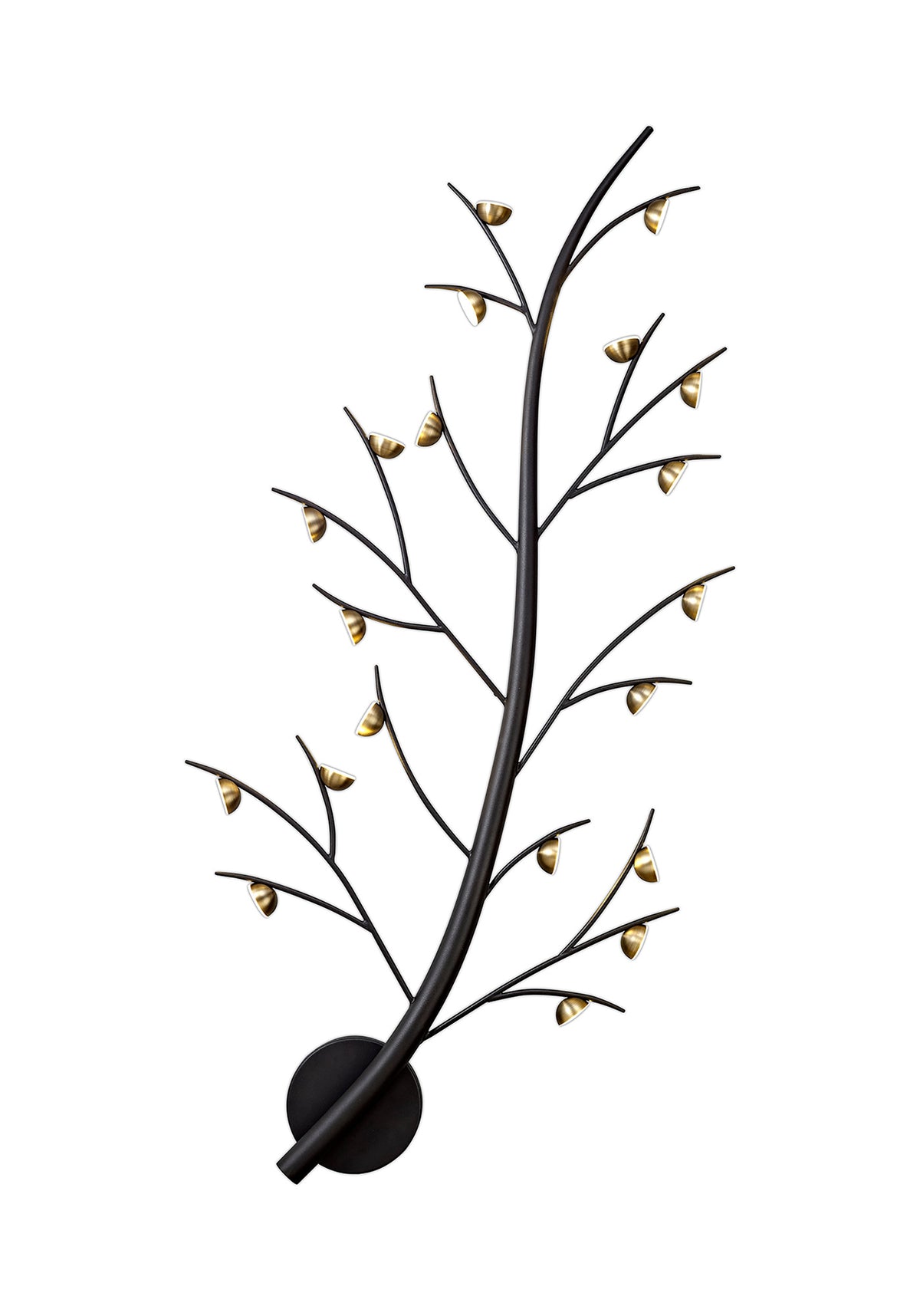 Reeve 20 Light Wall Lamp,  EM3817-HSA